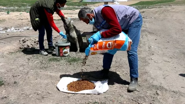 Kısıtlamada can dostlar unutulmadı Kısıtlamada can dostlar unutulmadı