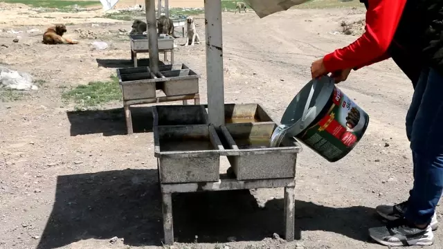 Kısıtlamada can dostlar unutulmadı Kısıtlamada can dostlar unutulmadı