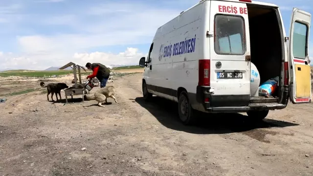 Kısıtlamada can dostlar unutulmadı Kısıtlamada can dostlar unutulmadı