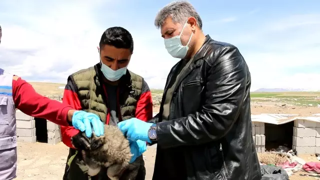 Kısıtlamada can dostlar unutulmadı Kısıtlamada can dostlar unutulmadı