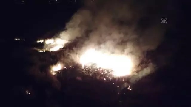 Koruma altındaki Ekşisu Sazlık Alanı'nda yangın çıktı Koruma altındaki Ekşisu Sazlık Alanı'nda yangın çıktı