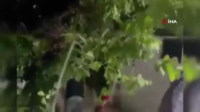 - Kudüs'te İsrail güçleri ve Filistinliler arasında arbede: 20 yaralı - Kudüs'te İsrail güçleri ve Filistinliler arasında arbede: 20 yaralı