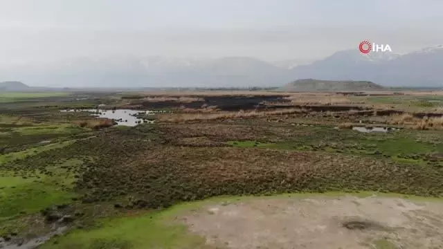 Kuş cennetinde çıkan yangın söndürüldü Kuş cennetinde çıkan yangın söndürüldü