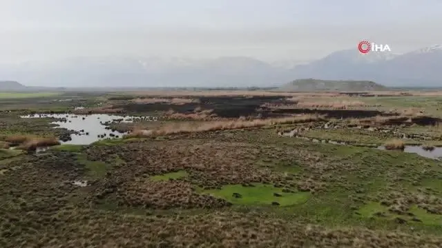 Kuş cennetinde çıkan yangın söndürüldü Kuş cennetinde çıkan yangın söndürüldü