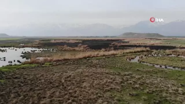 Kuş cennetinde çıkan yangın söndürüldü Kuş cennetinde çıkan yangın söndürüldü