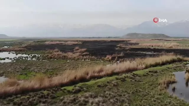 Kuş cennetinde çıkan yangın söndürüldü Kuş cennetinde çıkan yangın söndürüldü