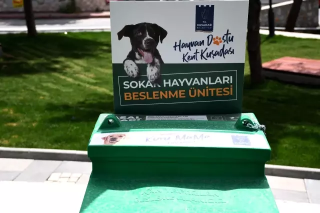 Kuşadası'nda sokak hayvanları aç kalmayacak Kuşadası'nda sokak hayvanları aç kalmayacak