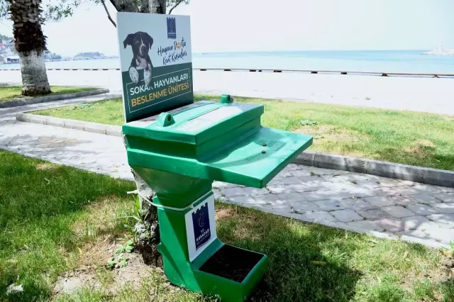 Kuşadası'nda sokak hayvanları aç kalmayacak Kuşadası'nda sokak hayvanları aç kalmayacak