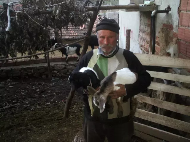 Kütahya Pazarlar'da kavga: 1 ölü, 1 yaralı Kütahya Pazarlar'da kavga: 1 ölü, 1 yaralı