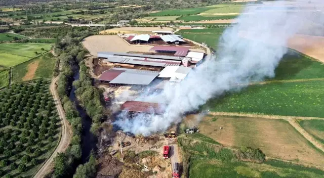 - Kuyucak'taki yangında bin tondan fazla saman zarar gördü - Kuyucak'taki yangında bin tondan fazla saman zarar gördü