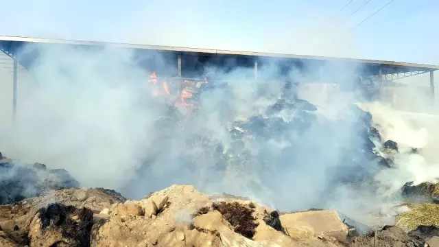 - Kuyucak'taki yangında bin tondan fazla saman zarar gördü - Kuyucak'taki yangında bin tondan fazla saman zarar gördü