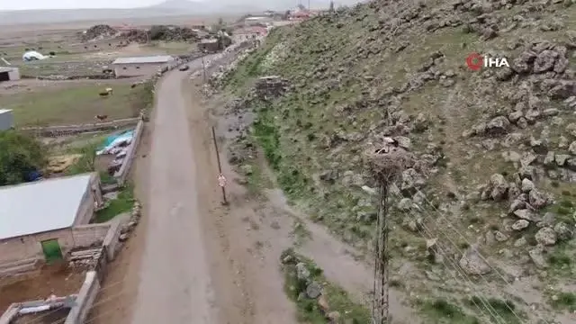 'Leylekli köyün' leylekleri görüntülendi 'Leylekli köyün' leylekleri görüntülendi