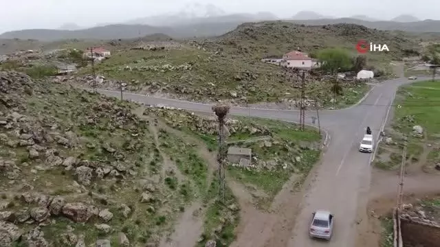 'Leylekli köyün' leylekleri görüntülendi 'Leylekli köyün' leylekleri görüntülendi