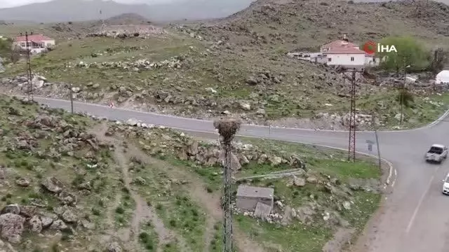 'Leylekli köyün' leylekleri görüntülendi 'Leylekli köyün' leylekleri görüntülendi