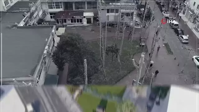 Maltepe Belediyesi Atatürk Parkı'nı yeşillendiriyor Maltepe Belediyesi Atatürk Parkı'nı yeşillendiriyor