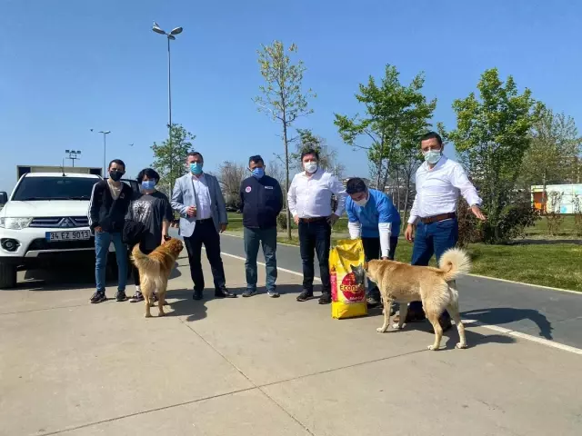Maltepe'de sokaktaki canlara 1 ton mama Maltepe'de sokaktaki canlara 1 ton mama