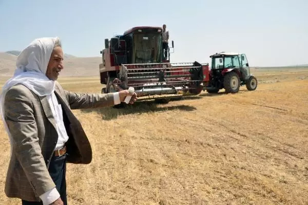 MARDİN'DE KURAKLIK NEDENİYLE MERCİMEK HASADI ERKEN BAŞLADI MARDİN'DE KURAKLIK NEDENİYLE MERCİMEK HASADI ERKEN BAŞLADI