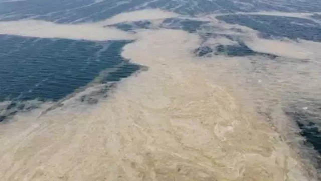 Marmara'da denizin dibi zindana döndü Marmara'da denizin dibi zindana döndü