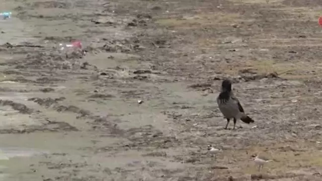 Marmara'da denizin dibi zindana döndü Marmara'da denizin dibi zindana döndü