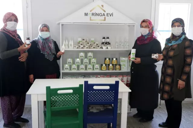 Moringa bitkisi sayesinde iş kadını oldular Moringa bitkisi sayesinde iş kadını oldular