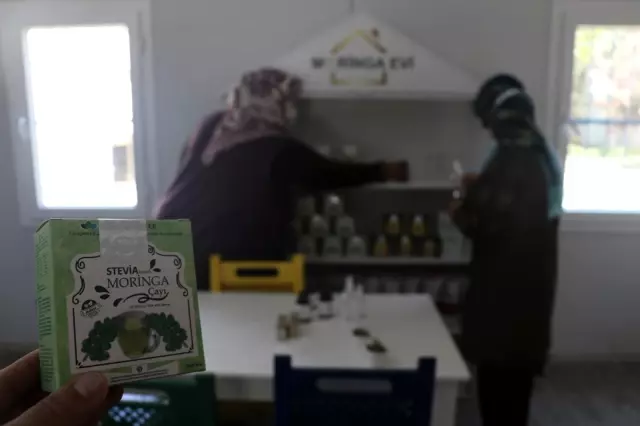 Moringa bitkisi sayesinde iş kadını oldular Moringa bitkisi sayesinde iş kadını oldular
