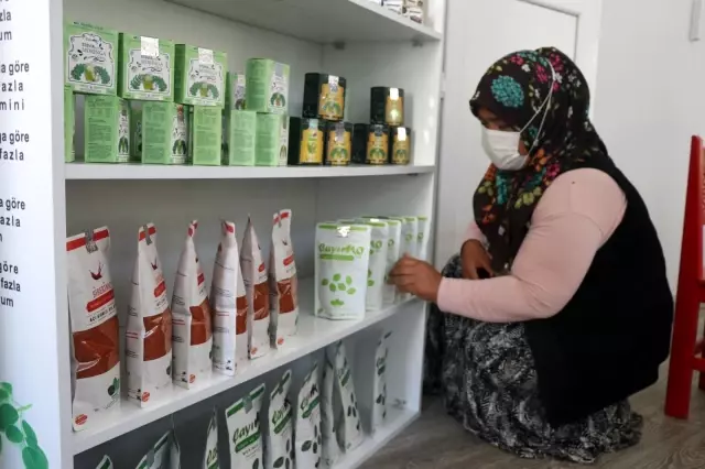 Moringa bitkisi sayesinde iş kadını oldular Moringa bitkisi sayesinde iş kadını oldular
