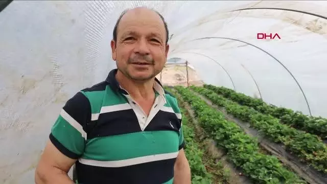 MUĞLA MARMARİS'TE ESNAF VE VATANDAŞIN YÜZÜNÜ GÜLDÜ MUĞLA MARMARİS'TE ESNAF VE VATANDAŞIN YÜZÜNÜ GÜLDÜ