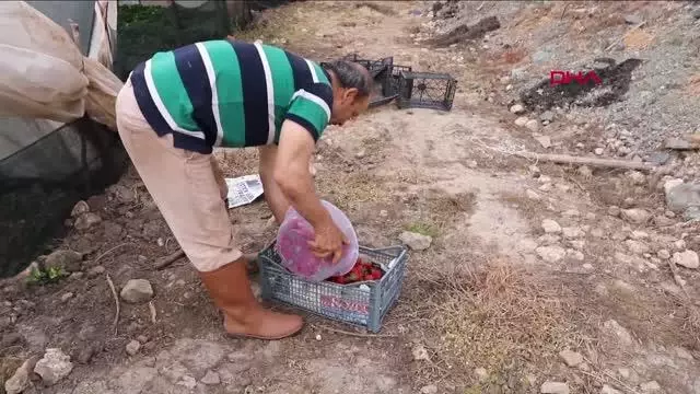 MUĞLA MARMARİS'TE ESNAF VE VATANDAŞIN YÜZÜNÜ GÜLDÜ MUĞLA MARMARİS'TE ESNAF VE VATANDAŞIN YÜZÜNÜ GÜLDÜ
