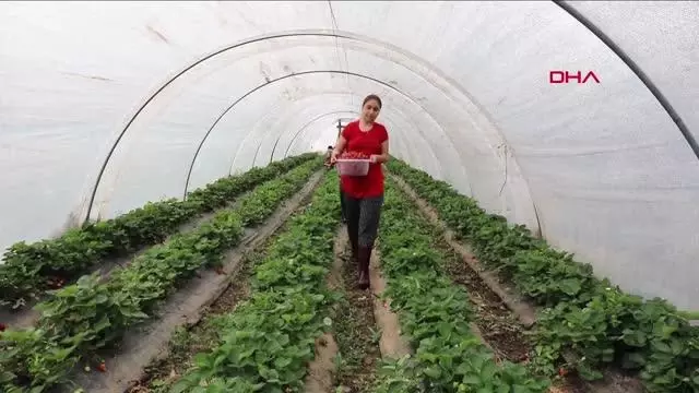 MUĞLA MARMARİS'TE ESNAF VE VATANDAŞIN YÜZÜNÜ GÜLDÜ MUĞLA MARMARİS'TE ESNAF VE VATANDAŞIN YÜZÜNÜ GÜLDÜ