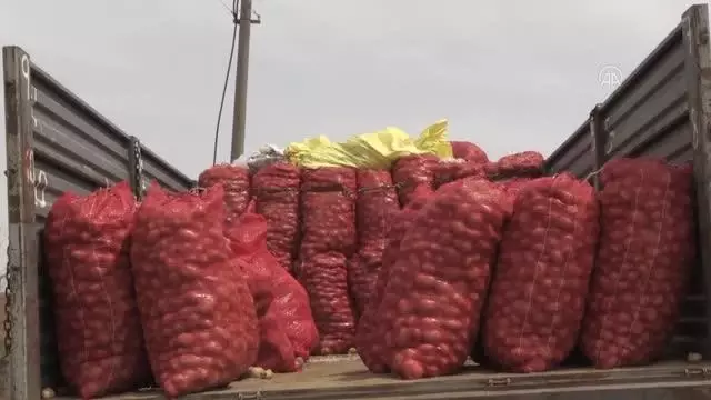 Patates ekimine başlandı Patates ekimine başlandı
