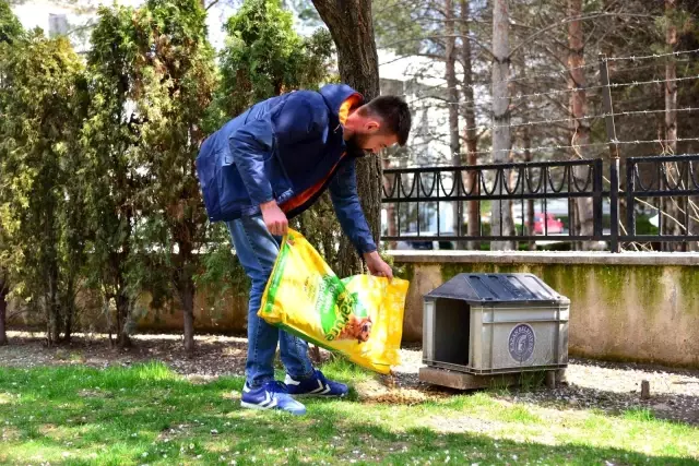 Patili dostlara tam kapanma sürecinde de sahip çıkılıyor Patili dostlara tam kapanma sürecinde de sahip çıkılıyor