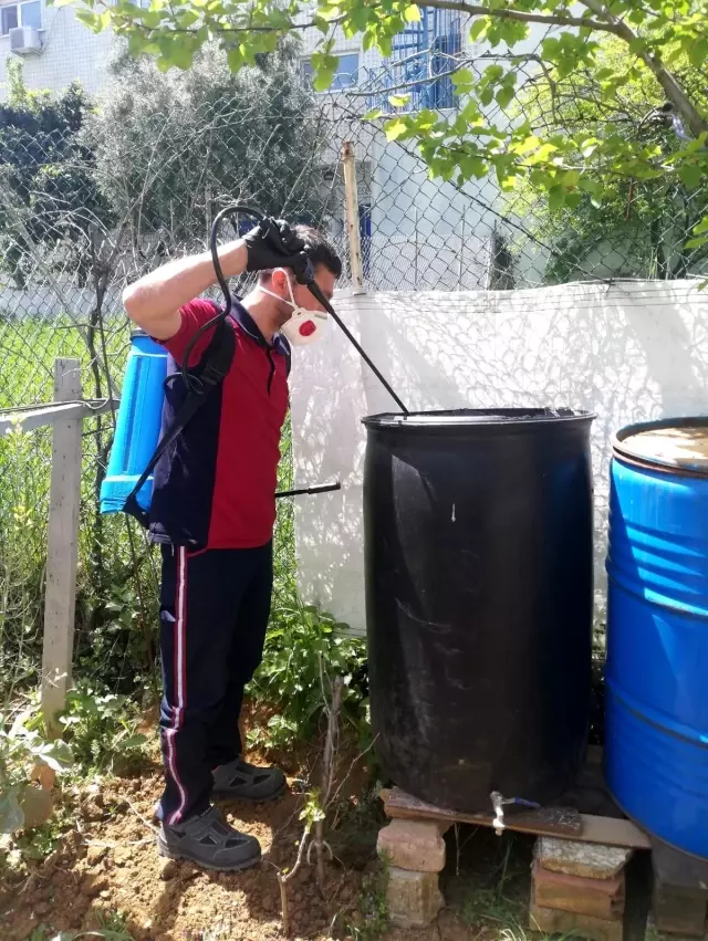 Pendik Belediyesi ekipleri ilaçlamalara başladı Pendik Belediyesi ekipleri ilaçlamalara başladı