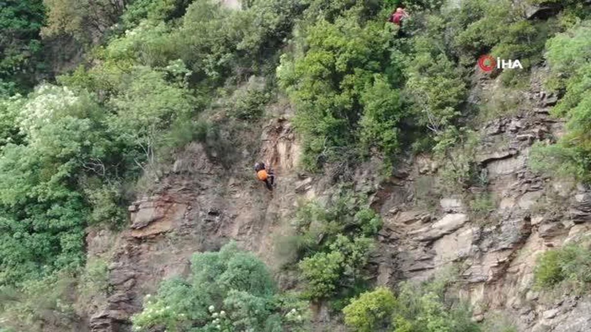 'Ceza korkusu' kayalıklara tırmandırdı! 6 saat kurtarılmayı bekledi