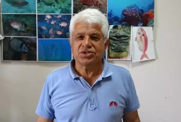 Prof. Dr. Gökoğlu: Denizde, kıyıda balon balığı görmeye alışmalıyız Prof. Dr. Gökoğlu: Denizde, kıyıda balon balığı görmeye alışmalıyız