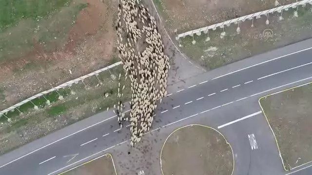 Ramazanda zorlu yolculuğa çıkan göçerler bayramı da yolda geçirecek Ramazanda zorlu yolculuğa çıkan göçerler bayramı da yolda geçirecek