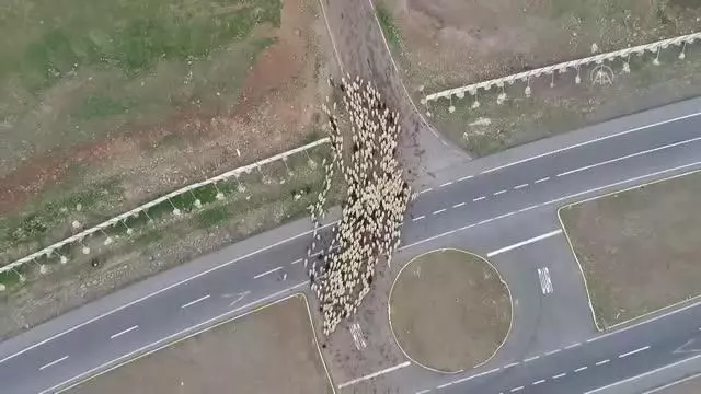 Ramazanda zorlu yolculuğa çıkan göçerler bayramı da yolda geçirecek Ramazanda zorlu yolculuğa çıkan göçerler bayramı da yolda geçirecek