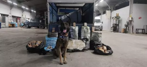 'REXO' İLE ARAMADA ARAÇTA 216 KİLO EROİN BULUNDU 'REXO' İLE ARAMADA ARAÇTA 216 KİLO EROİN BULUNDU
