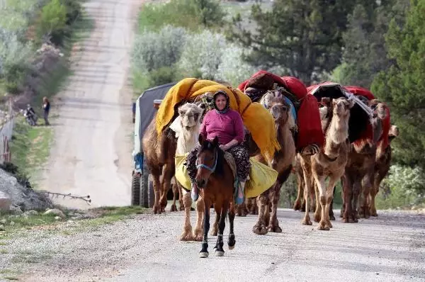 SARIKEÇİLİ YÖRÜKLERİN 40 GÜN SÜRECEK GÖÇÜ BAŞLADI SARIKEÇİLİ YÖRÜKLERİN 40 GÜN SÜRECEK GÖÇÜ BAŞLADI
