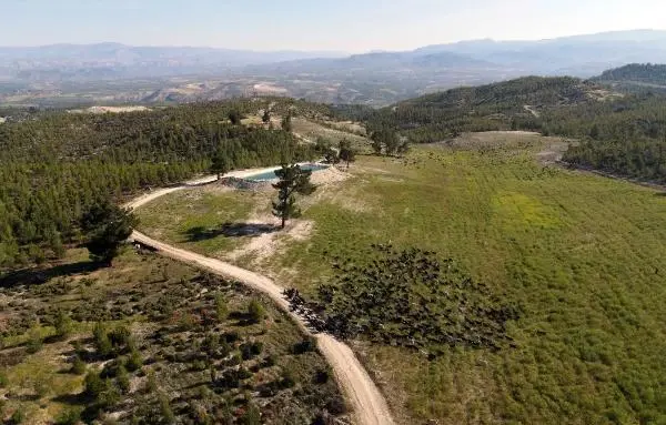 SARIKEÇİLİ YÖRÜKLERİN 40 GÜN SÜRECEK GÖÇÜ BAŞLADI SARIKEÇİLİ YÖRÜKLERİN 40 GÜN SÜRECEK GÖÇÜ BAŞLADI