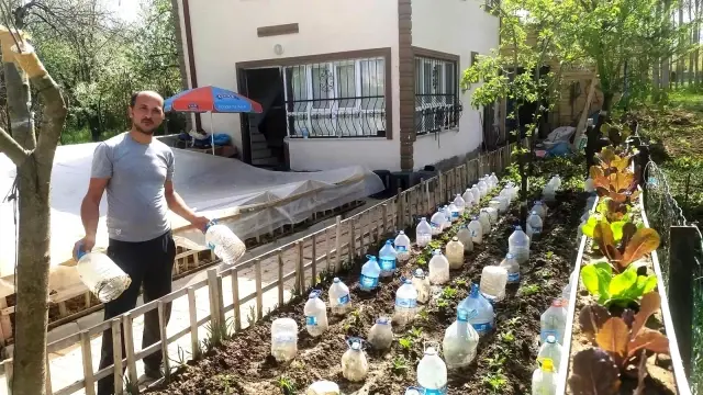 Sebze fidelerini soğuktan pet şişe ile koruyor Sebze fidelerini soğuktan pet şişe ile koruyor