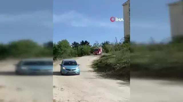 Sesin geldiği çalıları kaldırınca rögara düşen köpeği fark ettiler Sesin geldiği çalıları kaldırınca rögara düşen köpeği fark ettiler