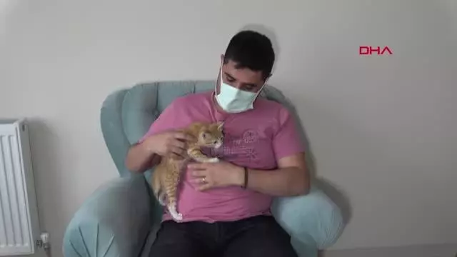 SİVAS EKİPLERİ PES ETTİREN YAVRU KEDİYİ KENDİSİ ÇIKARIP SAHİPLENDİ SİVAS EKİPLERİ PES ETTİREN YAVRU KEDİYİ KENDİSİ ÇIKARIP SAHİPLENDİ