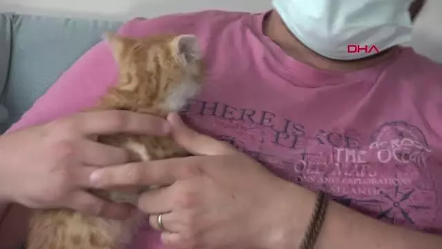 SİVAS EKİPLERİ PES ETTİREN YAVRU KEDİYİ KENDİSİ ÇIKARIP SAHİPLENDİ SİVAS EKİPLERİ PES ETTİREN YAVRU KEDİYİ KENDİSİ ÇIKARIP SAHİPLENDİ