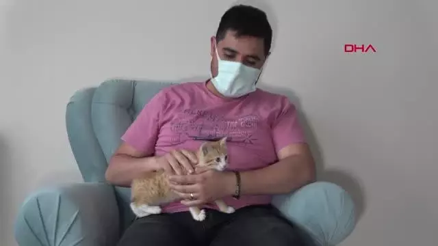 SİVAS EKİPLERİ PES ETTİREN YAVRU KEDİYİ KENDİSİ ÇIKARIP SAHİPLENDİ SİVAS EKİPLERİ PES ETTİREN YAVRU KEDİYİ KENDİSİ ÇIKARIP SAHİPLENDİ