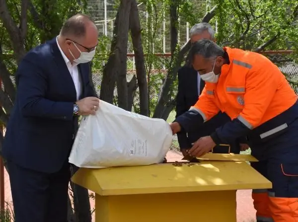 SİVAS'TA, KISITLAMADA SOKAK HAYVANLARINA MAMA BIRAKILDI SİVAS'TA, KISITLAMADA SOKAK HAYVANLARINA MAMA BIRAKILDI