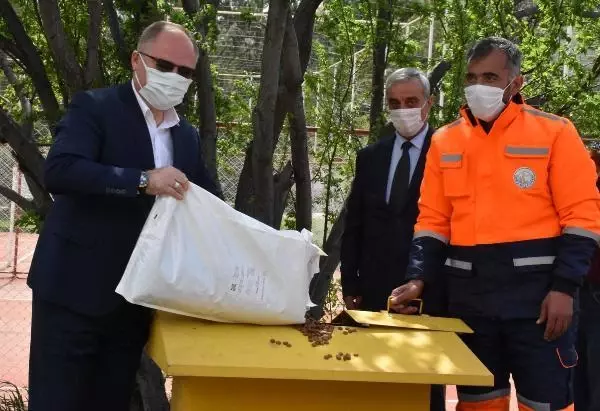 SİVAS'TA, KISITLAMADA SOKAK HAYVANLARINA MAMA BIRAKILDI SİVAS'TA, KISITLAMADA SOKAK HAYVANLARINA MAMA BIRAKILDI