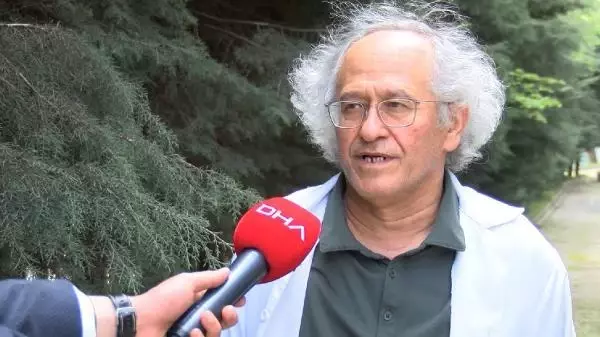 SİVRİSİNEKLER ORTAYA ÇIKTI, PROF. DR. YILMAZ UYARDIclckö SİVRİSİNEKLER ORTAYA ÇIKTI, PROF. DR. YILMAZ UYARDIclckö