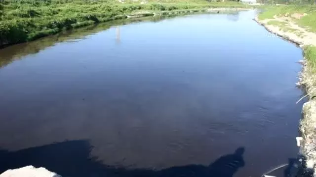 Siyah akan Çorlu Deresi, kötü koku yayıyor Siyah akan Çorlu Deresi, kötü koku yayıyor
