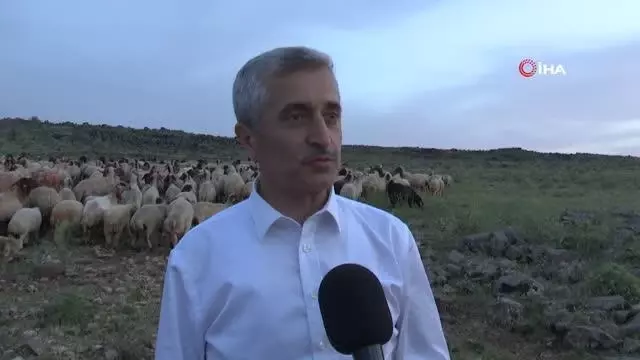 Tahmazoğlu iftarını meradaki çoban ve ailesiyle açtı Tahmazoğlu iftarını meradaki çoban ve ailesiyle açtı