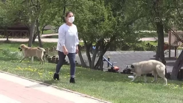 'Tam kapanma'da sokak hayvanları unutulmadı 'Tam kapanma'da sokak hayvanları unutulmadı